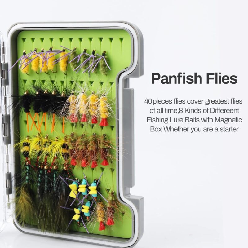 Fly Fishing Flies Assortment Kit 30/50/60/100/168pcs Dry Wet Nyphms Tenkara Popper Streamer Woolly Bugger for Trout Bass Steelhead with Fly Box