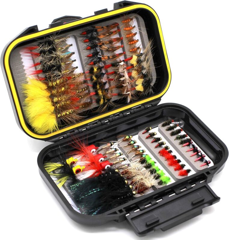 Fly Fishing Flies Assortment Kit 30/50/60/100/168pcs Dry Wet Nyphms Tenkara Popper Streamer Woolly Bugger for Trout Bass Steelhead with Fly Box