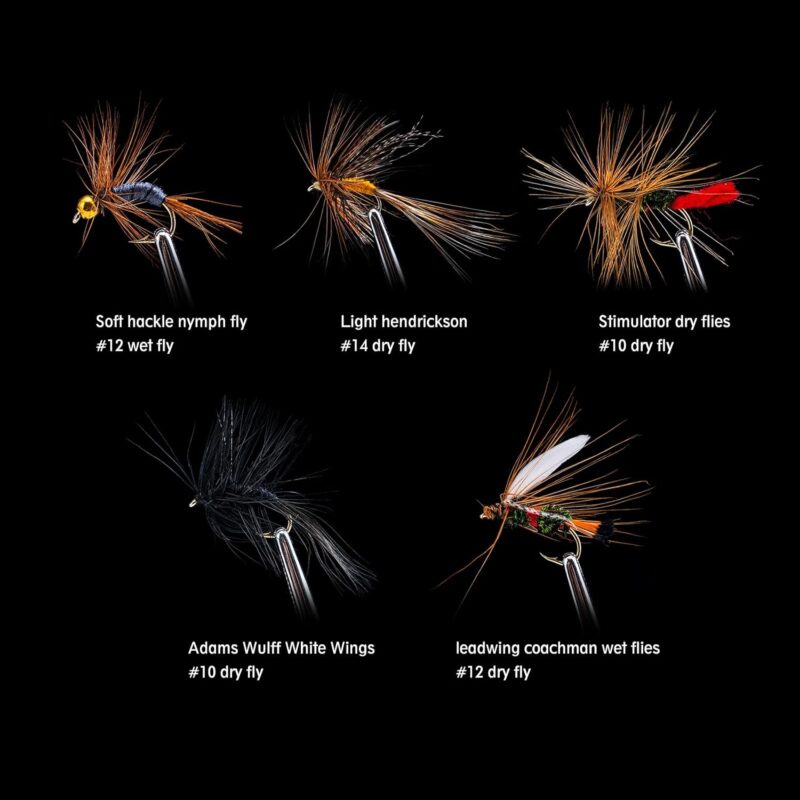 Goture Fly Fishing Flies Kit,25pcs/30pcs/100pcs Fly Fishing Lures,Dry Flies Wet Flies Streamers Nymphs Flies, Fly Fishing Assortment Kit for Bass Trout Salmon Fishing