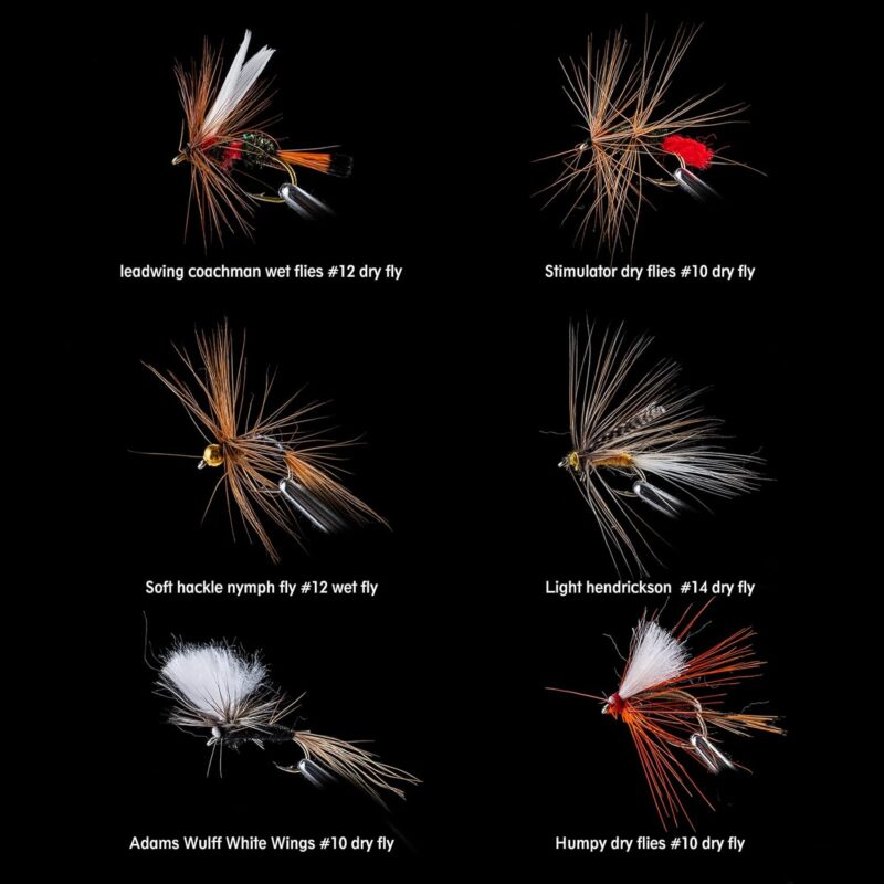 Goture Fly Fishing Flies Kit,25pcs/30pcs/100pcs Fly Fishing Lures,Dry Flies Wet Flies Streamers Nymphs Flies, Fly Fishing Assortment Kit for Bass Trout Salmon Fishing