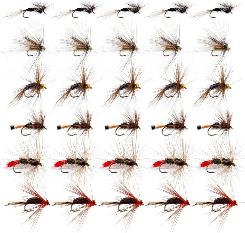 Goture Fly Fishing Flies Kit,25pcs/30pcs/100pcs Fly Fishing Lures,Dry Flies Wet Flies Streamers Nymphs Flies, Fly Fishing Assortment Kit for Bass Trout Salmon Fishing