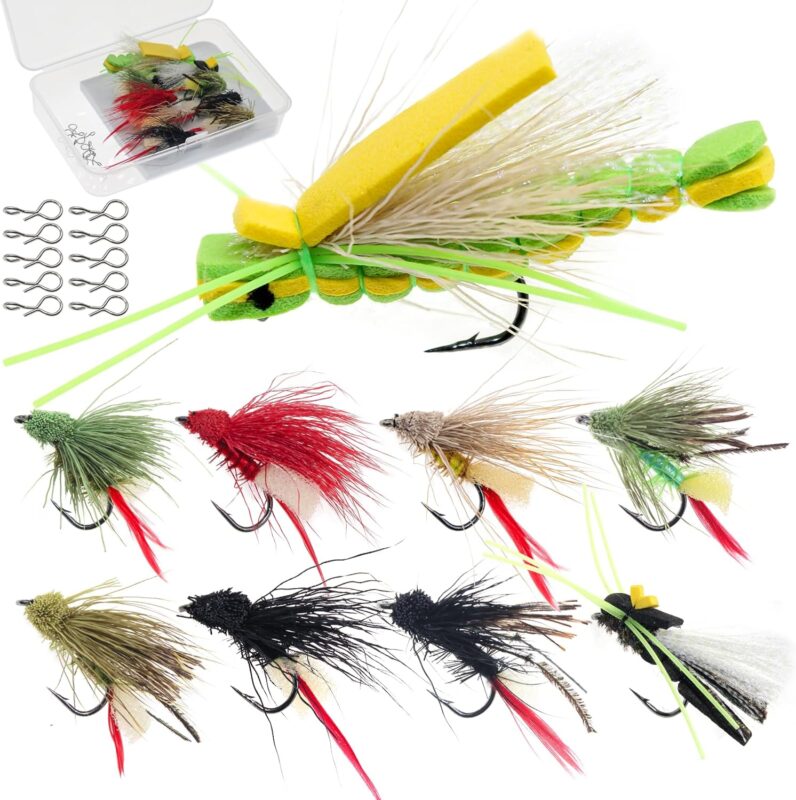 DEILAI Fly Fishing Flies Assortment with Hooks Wet Dry Flies Lures Set Kit Gift with Waterproof Fly Box Topwater Flies for Trout Bass Salmon Panfish Bluegill Crappie Popping Bug Sunfish