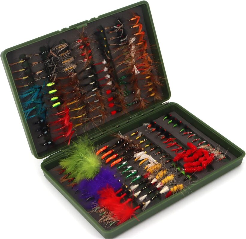 Fly Fishing Flies Assortment Kit 30/50/60/100/168pcs Dry Wet Nyphms Tenkara Popper Streamer Woolly Bugger for Trout Bass Steelhead with Fly Box