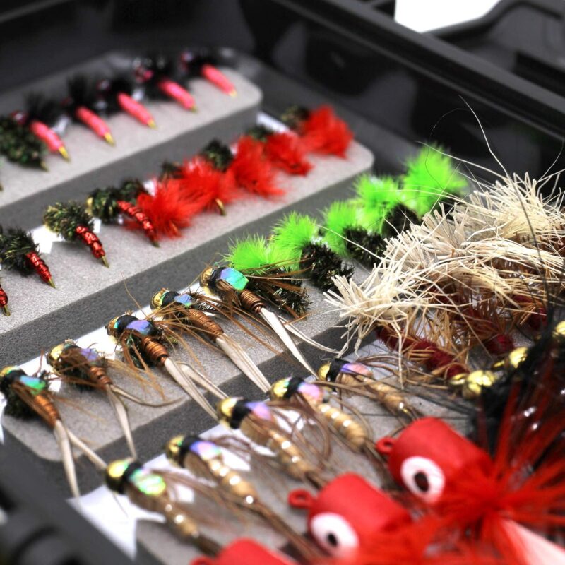 Fly Fishing Flies Assortment Kit 30/50/60/100/168pcs Dry Wet Nyphms Tenkara Popper Streamer Woolly Bugger for Trout Bass Steelhead with Fly Box