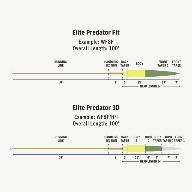 Rio Elite Predator Fly Line, Designed to Cast Large  Heavy Flies, Low-Stretch  Ultra-Slick Performance, 100ft