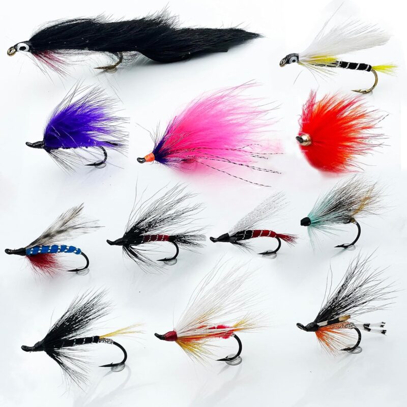 RoxSar Fly Shop Steelhead  Salmon Flies Deadly Dozen | an Exclusive Assortment of Fly Fishing Flies Proven Nationwide to Be Deadly for Both Steelhead  Salmon. Hand Tied in House to Perfection!