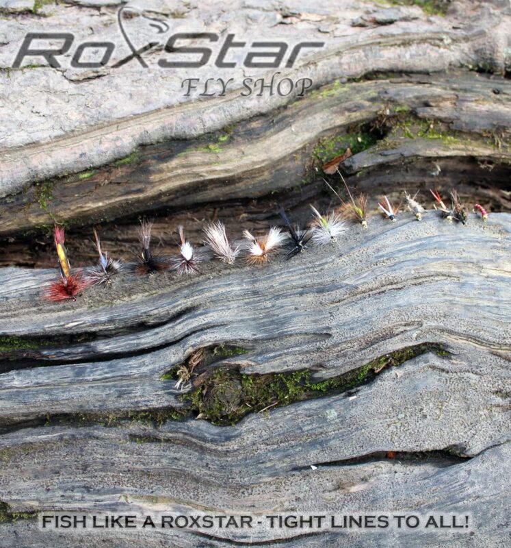 RoxStar Fly Shop Trophy Trout 24pk | Top Wet  Dry Flies for Trout. | Trout Flies Proven Nationwide to Catch Fish! | Tied in-House Never Outsourced! Proud Partner of Trout Unlimited