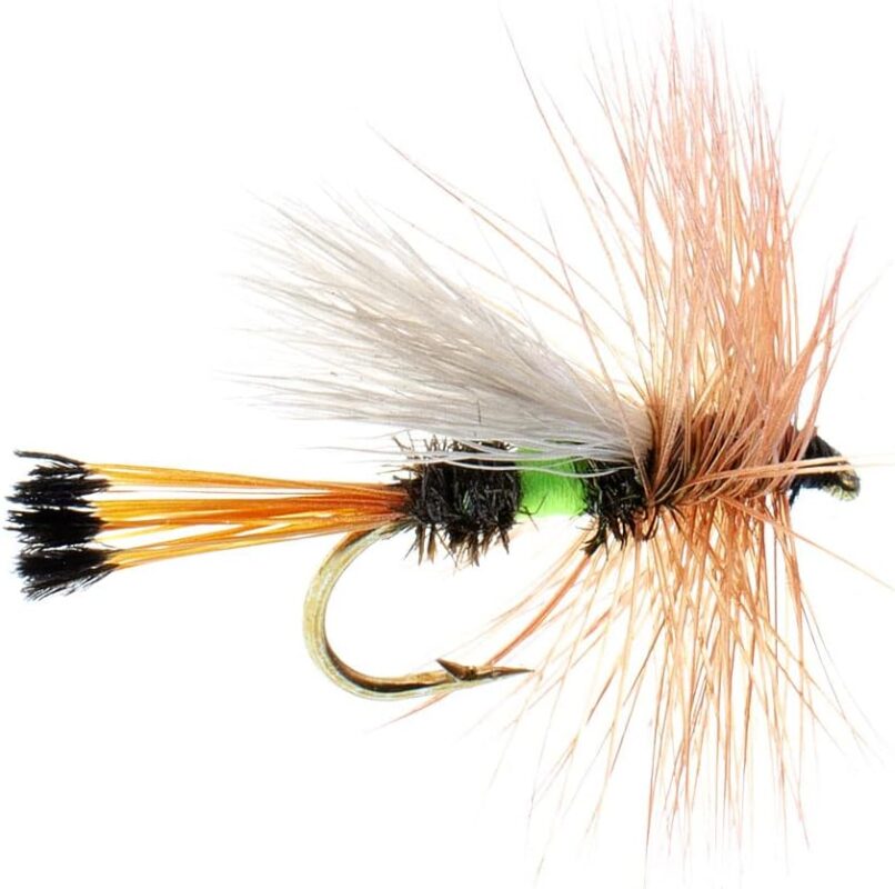 The Fly Fishing Place Lime Royal Trude Classic Trout Dry Fly Fishing Flies - Set of 6 Flies Size 12