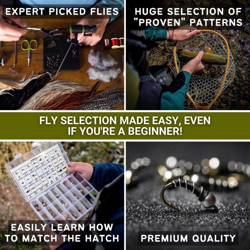 Ventures Fly Co. | 200 Premium Hand Tied Fly Fishing Flies Assortment | Three Fly Boxes Included | Dry, Wet, Nymphs, Streamers, Wooly Buggers, Terrestrials | Trout, Bass Lure Set, Kit